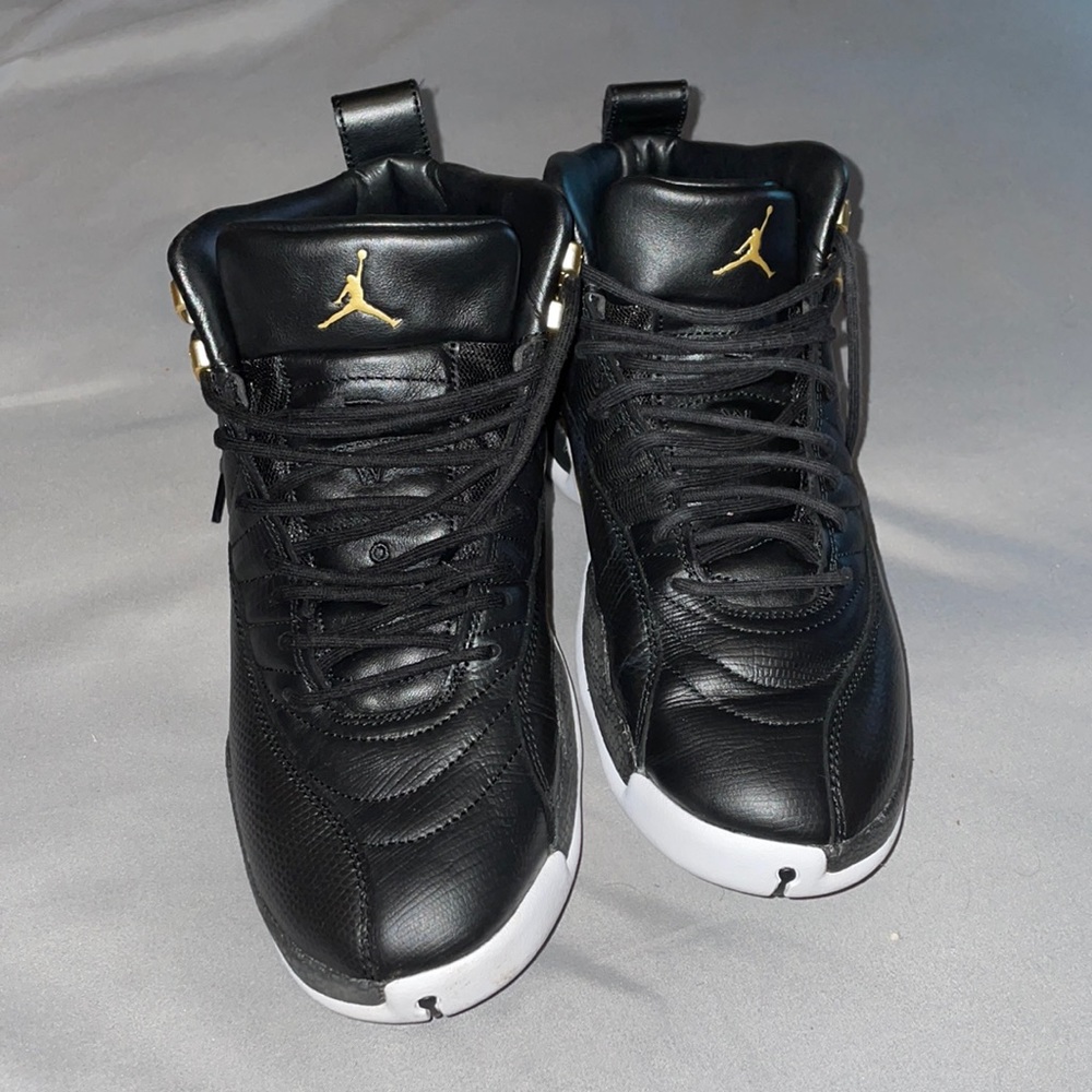 Reptile 12
